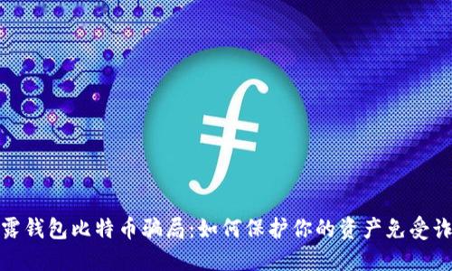 揭露钱包比特币骗局：如何保护你的资产免受诈骗