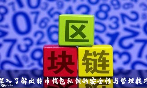  
深入了解比特币钱包私钥的安全性与管理技巧