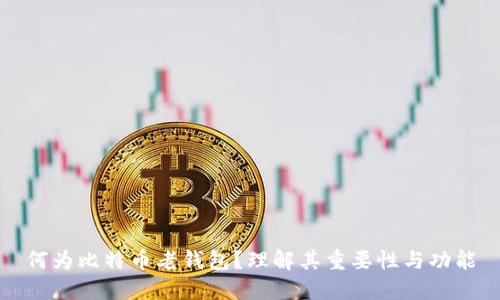 何为比特币老钱包？理解其重要性与功能