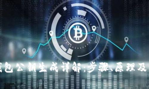 比特币钱包公钥生成详解：步骤、原理及注意事项