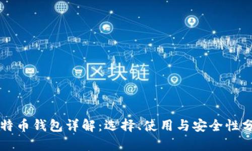 比特币钱包详解：选择、使用与安全性分析