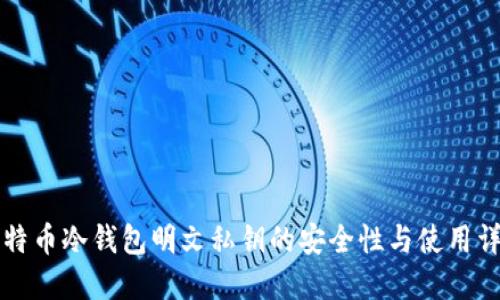 比特币冷钱包明文私钥的安全性与使用详解