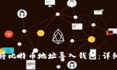 如何将比特币地址导入钱包：详细指南