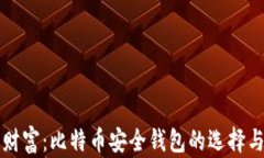 保护你的财富：比特币安全钱包的选择