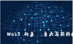 深入探討 Web3 的未來：鲁大与新科技的