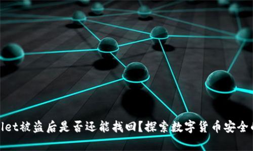 tpwallet被盗后是否还能找回？探索数字货币安全的边界