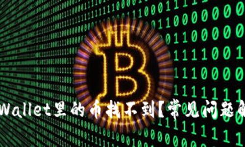 转到TPWallet里的币找不到？常见问题解决指南