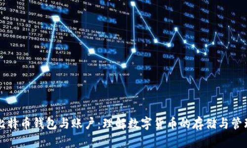 比特币钱包与账户：理解数字货币的存储与管理