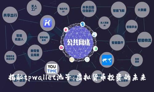 揭秘tpwallet池子：虚拟货币投资的未来