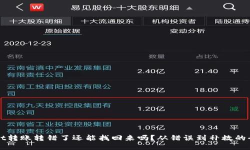 TPWallet转账转错了还能找回来吗？从错误到补救的全部指南