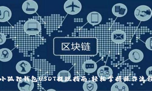 小狐狸钱包USDT提现指南：轻松掌握操作流程