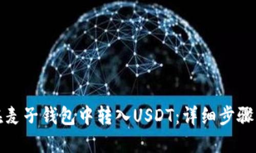 如何在麦子钱包中转入USDT：详细步骤与技巧