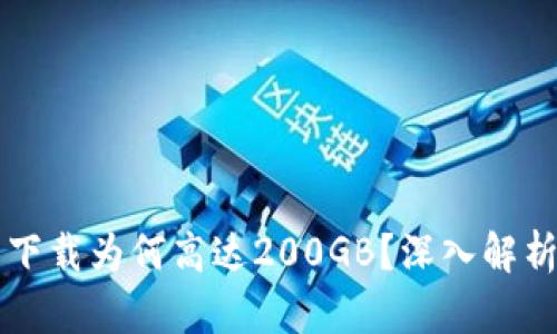 比特币钱包下载为何高达200GB？深入解析背后的原因