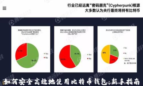 
如何安全高效地使用比特币钱包：新手指南