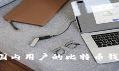 如何选择适合国内用户的比特币钱包？