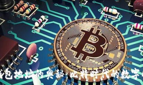   
探索零币钱包地址的奥秘：比特时代的数字货币新纪元