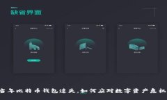 当年比特币钱包遗失，如何应对数字资