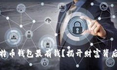 谁的比特币钱包最有钱？揭开财富背后