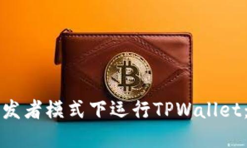 如何在开发者模式下运行TPWallet：全面指南