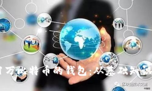 如何安全管理21万比特币的钱包：从基础知识到高级保护技巧