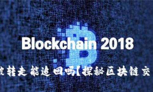 TP钱包USDT被转走能追回吗？探秘区块链交易的不可逆性