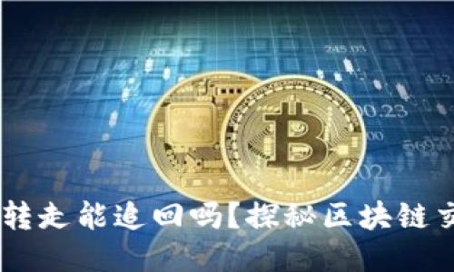 TP钱包USDT被转走能追回吗？探秘区块链交易的不可逆性