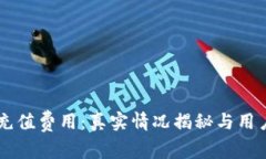 TPWallet充值费用：真实情况揭秘与用户