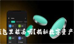 比特币在钱包里能丢吗？揭秘数字资产