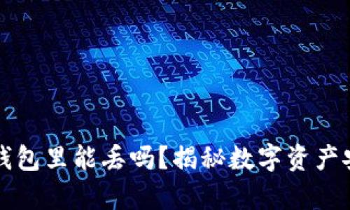 比特币在钱包里能丢吗？揭秘数字资产安全的真相