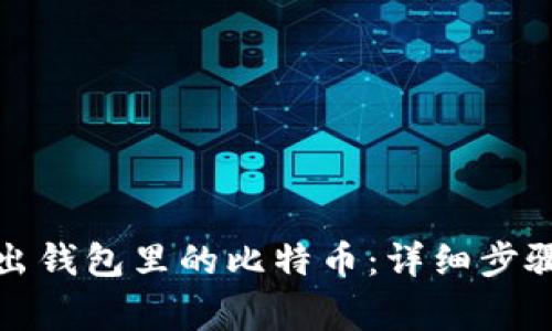 如何安全导出钱包里的比特币：详细步骤与注意事项