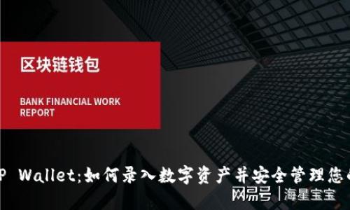 探索TP Wallet：如何录入数字资产并安全管理您的财富