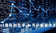 TPWallet转账打包中：如何快速解决延迟