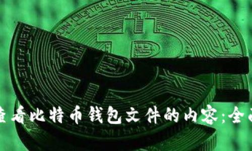 如何查看比特币钱包文件的内容：全面指南