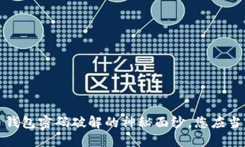 揭开比特币钱包密码破解的神秘面纱，您应当知道的一切