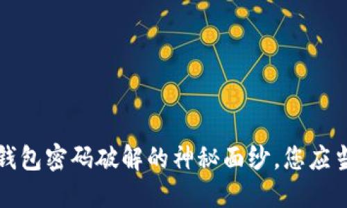 揭开比特币钱包密码破解的神秘面纱，您应当知道的一切