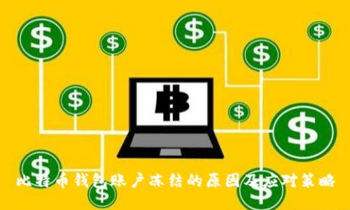 比特币钱包账户冻结的原因及应对策略
