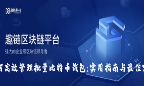如何高效管理批量比特币钱包：实用指南与最佳实践
