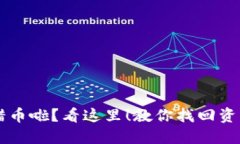 TPWallet转错币啦？看这里！教你找回资产的秘密方