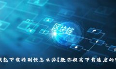 比特币钱包下载特别慢怎么办？教你提