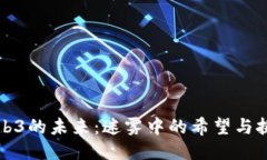 Web3的未来：迷雾中的希望与挑战