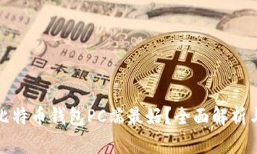 哪个比特币钱包PC端最好？全面解析与对比