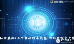 бра如何在iOS上下载比特币钱包：你的
