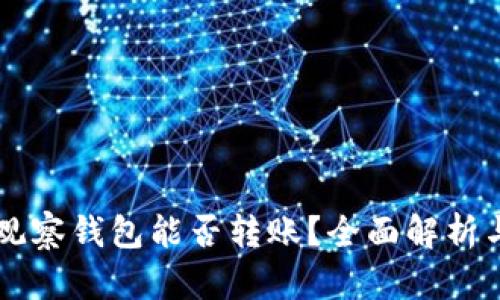 TPWallet观察钱包能否转账？全面解析与实用指南