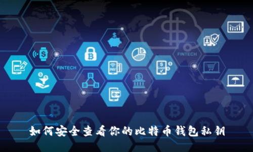 如何安全查看你的比特币钱包私钥