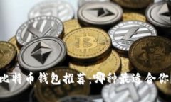 「比特币钱包推荐：哪种最适合你？」