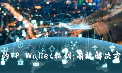 如何找回丢失的TP Wallet私钥：有效解决方案与预防措施