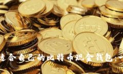 如何选择适合自己的比特币现金钱包：