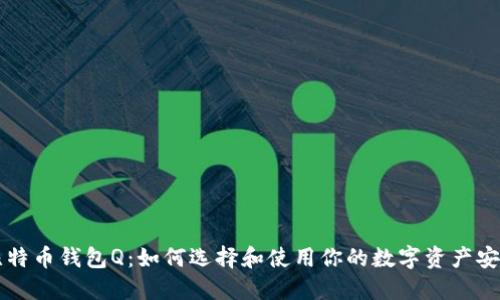 解密比特币钱包Q：如何选择和使用你的数字资产安全堡垒