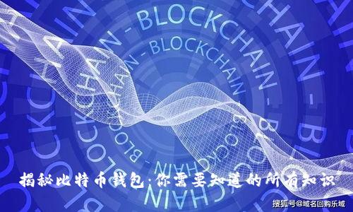 揭秘比特币钱包：你需要知道的所有知识