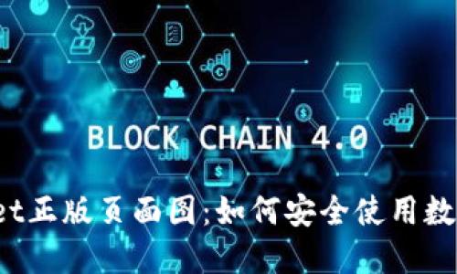 TPWallet正版页面图：如何安全使用数字钱包？